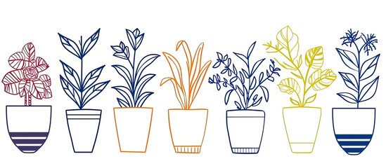 A row of houseplants in flowerpots on a white rectangular wood table background, with green grass. Each plant is in a vase or drinkware
