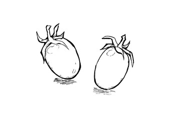 ミニトマト　アイコ　線画　手描き　墨絵　透過png
