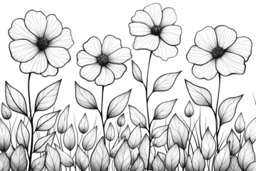 Monochrome sketch of Plumeria flower isolated on transparent background. Floral background