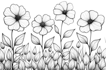 Zelfklevend Fotobehang Monochrome sketch of Plumeria flower isolated on transparent background. Floral background © Animated footage