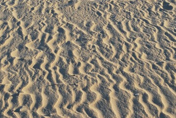 Fototapeta na wymiar Fondos,texturas pisadas en la arena,agua de mar.