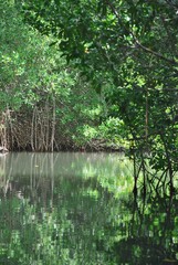 El agua,el mar como elemento comunicante en nuestro ambiente.