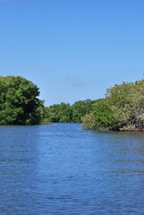 El agua,el mar como elemento comunicante en nuestro ambiente.