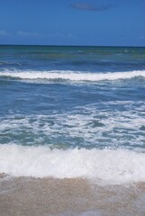 El agua,el mar como elemento comunicante en nuestro ambiente.