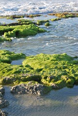 El agua,el mar como elemento comunicante en nuestro ambiente.