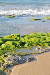 El agua,el mar como elemento comunicante en nuestro ambiente.