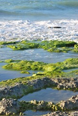 El agua,el mar como elemento comunicante en nuestro ambiente.