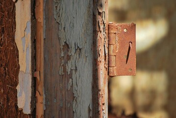 Fondos, texturas, movimiento, todo lo que nos rodea y se convierte en temas fotográficos!