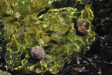 El agua,el mar como elemento comunicante en nuestro ambiente.