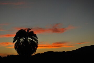 Los atardeceres cada día son diferentes, un espectáculo que nos regala la naturaleza.