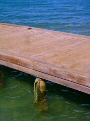 El agua,el mar como elemento comunicante en nuestro ambiente.