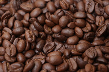 coffee beans background