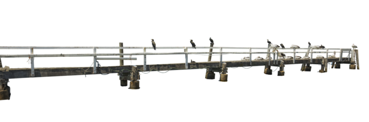 Cutout of an isolated side view of an wooden jetty bridge with seabirds with the transparent png	
