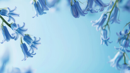 With an airy composition, this image captures bluebell blooms swaying gently in a pastel blue environment suggesting freshness and growth