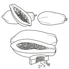 Vector drawing Illustration Hand drawn ink sketch of Papaya Fruit, Half Peeled, whole and sliced line art isolated on white background.  For kids coloring book.outline vector doodle illustration