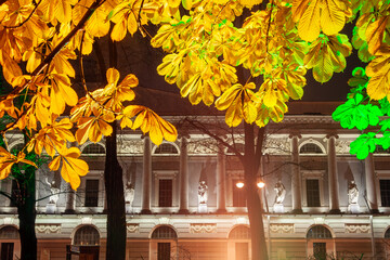 View of the beautiful facade of a historical building with antique sculptures. In the foreground are tree branches with colorful autumn leaves. Yellow leaves. Saint-Petersburg, Russia. Night city.