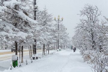 View of a snowy city street during a snowfall. Lots of snow on the sidewalk, bushes and trees. Snowdrifts on the ground. In the distance are people and cars. Cold snowy winter weather.