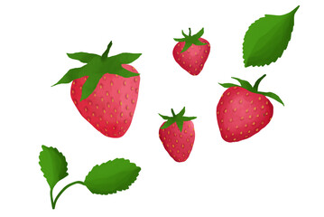 Strawberries and Leaves