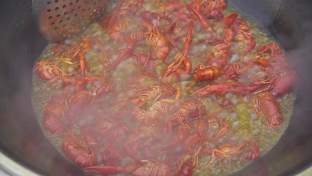 close up of cooking spicy crayfish in the pot
