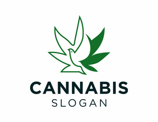 Logo about Cannabis created using the CorelDraw application. on a white background.