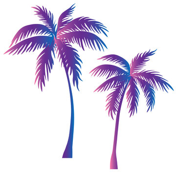 palm tree purple color vector png