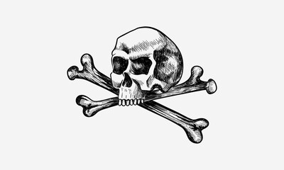 Skull and crossbones. Sketch vector hand drawn illustrations. The symbol of life and death.