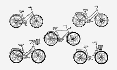 Set of isolated vector bike sketch. Retro or vintage bicycle. Old man and woman sport and countryside vehicle. Hand drawn engraved transport. Wheel transport pencil drawing. Traveling and riding - obrazy, fototapety, plakaty