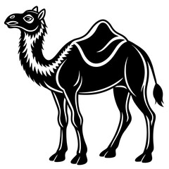      Camel silhouette  vector illustration.