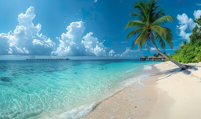 Panoramic view of coconut palms on a white sandy beach in the Maldives Islands - obrazy, fototapety, plakaty