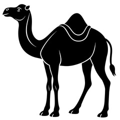 camel in desert silhouette vector illustration,head of a bull,camel characters,Holiday t shirt,Hand drawn trendy Vector illustration,camel riders on black background