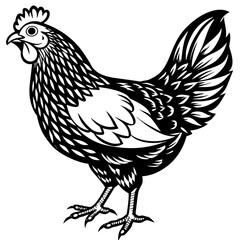 hen and rooster silhouette vector illustration,Pet,chicken characters,Holiday t shirt,Hand drawn trendy Vector illustration,Egg  on black background