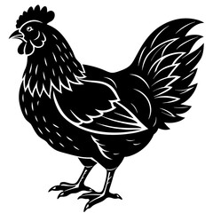 hen and rooster silhouette vector illustration,Pet,chicken characters,Holiday t shirt,Hand drawn trendy Vector illustration,Egg  on black background