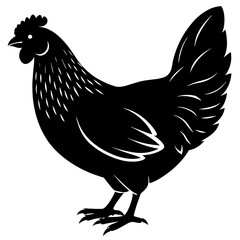 hen and rooster silhouette vector illustration,Pet,chicken characters,Holiday t shirt,Hand drawn trendy Vector illustration,Egg  on black background