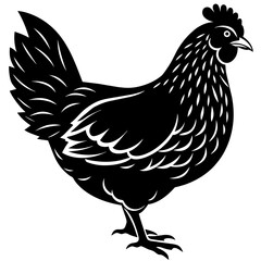 hen and rooster silhouette vector illustration,Pet,chicken characters,Holiday t shirt,Hand drawn trendy Vector illustration,Egg  on black background