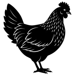 hen and rooster silhouette vector illustration,Pet,chicken characters,Holiday t shirt,Hand drawn trendy Vector illustration,Egg  on black background