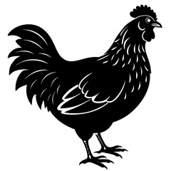 hen and rooster silhouette vector illustration,Pet,chicken characters,Holiday t shirt,Hand drawn trendy Vector illustration,Egg  on black background