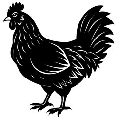 hen and rooster silhouette vector illustration,Pet,chicken characters,Holiday t shirt,Hand drawn trendy Vector illustration,Egg  on black background