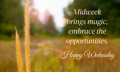 Midweek brings magic, embrace the opportunities. Happy Wednesday greetings