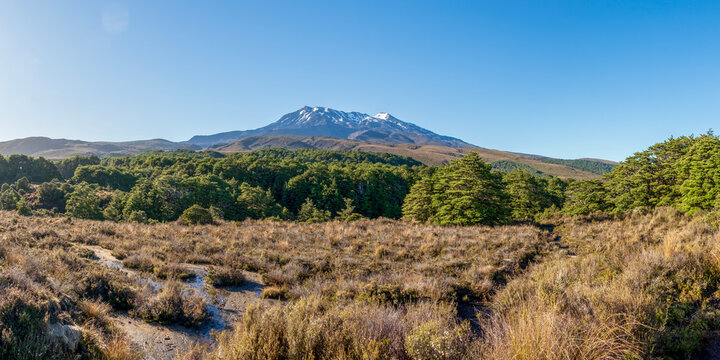 Mount Ruapehu: Panoramic view on Snow-Capped Stratovolcano Amid Green bush and Tongariro National Park Volcanic Landscape, New Zealand