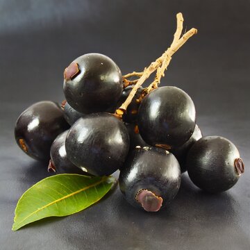 blueberry or karamda