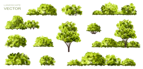 Gardinen Vector watercolor green tree or forest side view isolated on white background for landscape and architecture drawing,elements for environment or garden,botanical element for exterior section in spring © Chanya_B