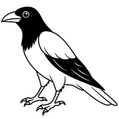 Fototapeta premium crow on a white background - Vector illustration