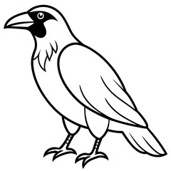 crow on a white background - Vector illustration