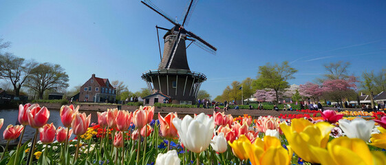 Idyllic Scene: Windmill in Field of Bright Flowers
