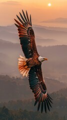 A bald eagle soaring in the sky with a sunset behind it. Generative AI.