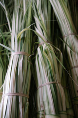 Obraz premium The basic ingredient for ketupat is young coconut leaves which are split into lengths and then made into ketupat