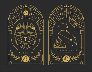 Set of Modern magic witchcraft cards with astrology Leo zodiac sign characteristic. Vector illustration - 778647964