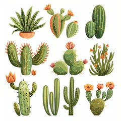 Glasbilder Kaktus Assorted Decorative Cactus Collection with Vibrant Blooms for Gardening Designs