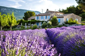 Rolgordijnen Lavender field,. A picturesque Provence lavender field in full bloom with a traditional farmhouse. AI generated © Tanu
