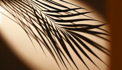 Shadow of palm leaves cast on a beige background